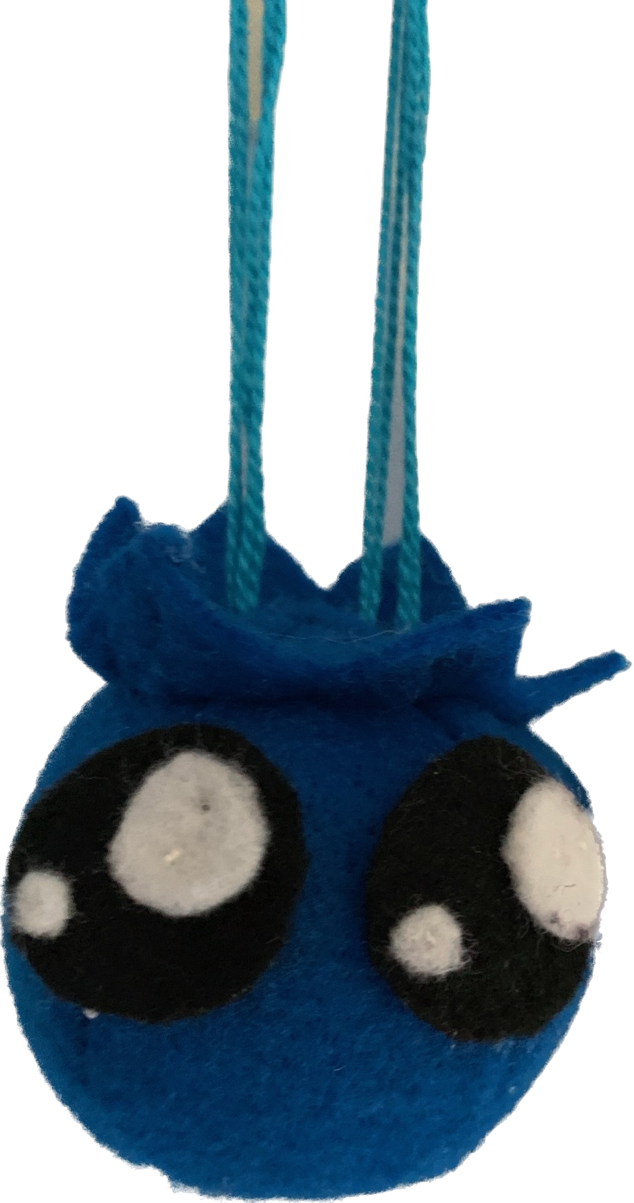 Blueberry